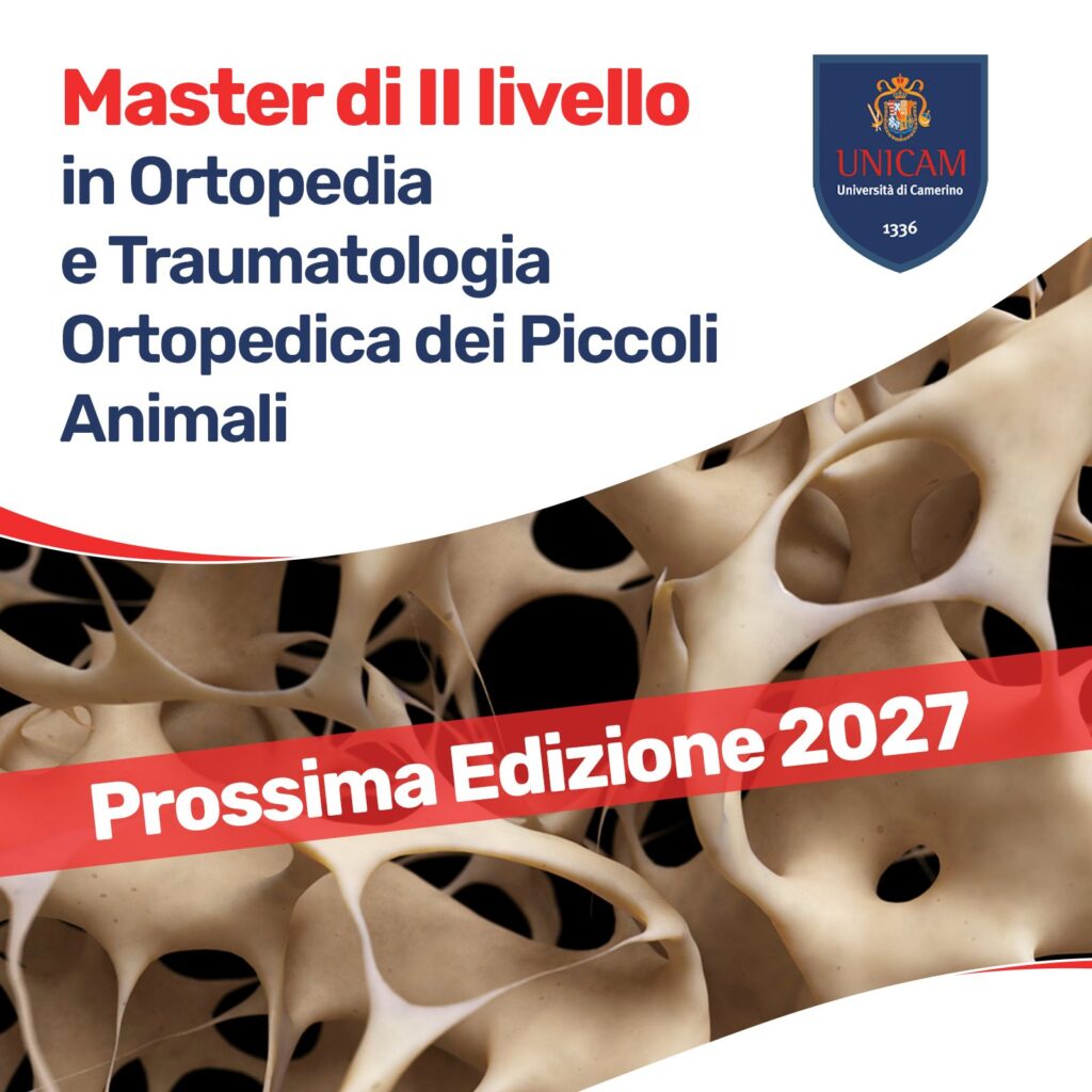 Master Ortopedia Traumatologia veterinaria